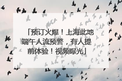 预订火爆！上海此地端午人流预警，有人提前体验！视频曝光