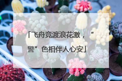 飞舟竞渡浪花激，“警”色相伴人心安