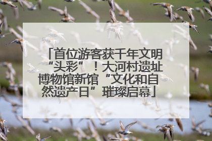 首位游客获千年文明“头彩”！大河村遗址博物馆新馆“文化和自然遗产日”璀璨启幕
