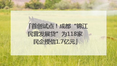 首创试点！成都“锦江民营发展贷”为118家民企授信1.7亿元