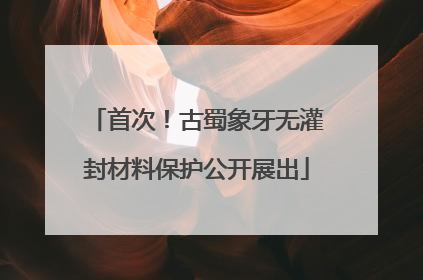 首次！古蜀象牙无灌封材料保护公开展出
