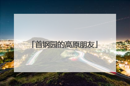 首钢园的高原朋友