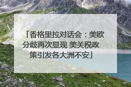 香格里拉对话会：美欧分歧再次显现 美关税政策引发各大洲不安