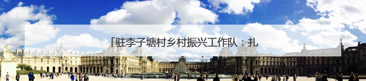 驻李子塘村乡村振兴工作队：扎根热土践初心 绘就振兴新画卷