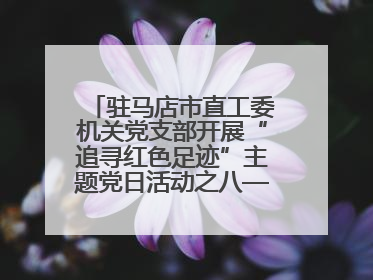 驻马店市直工委机关党支部开展“追寻红色足迹”主题党日活动之八——鏖战独树镇