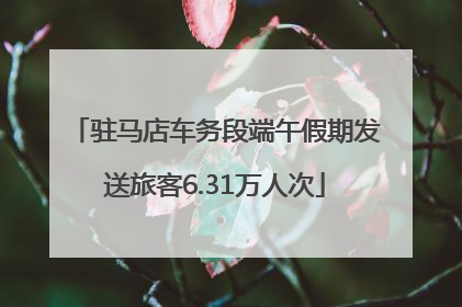 驻马店车务段端午假期发送旅客6.31万人次