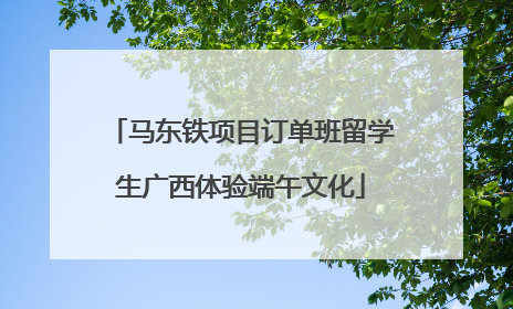 马东铁项目订单班留学生广西体验端午文化