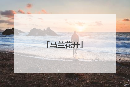 马兰花开