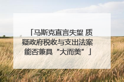 马斯克直言失望 质疑政府税收与支出法案能否兼具“大而美”