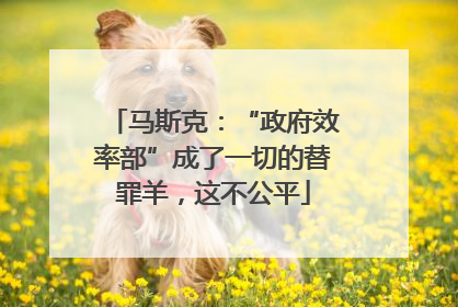 马斯克：“政府效率部”成了一切的替罪羊，这不公平