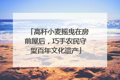 高秆小麦摇曳在房前屋后，巧手农民守望百年文化遗产