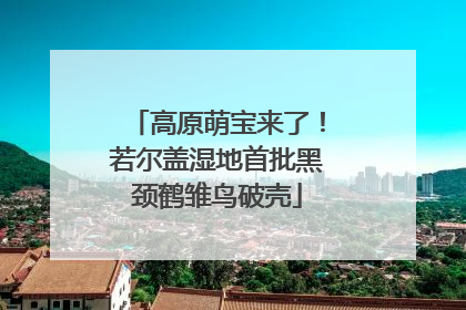 高原萌宝来了！若尔盖湿地首批黑颈鹤雏鸟破壳