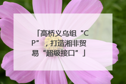 高桥义乌组“CP”，打造湘非贸易“超级接口”