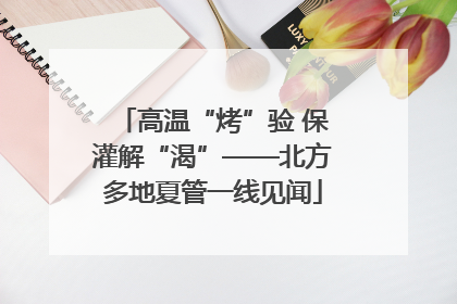 高温“烤”验 保灌解“渴”——北方多地夏管一线见闻