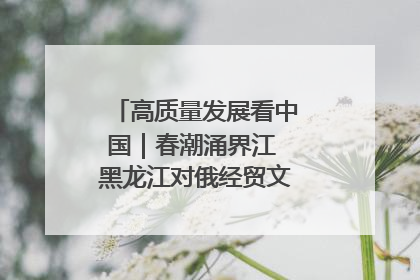 高质量发展看中国｜春潮涌界江 黑龙江对俄经贸文旅交流绿意盎然