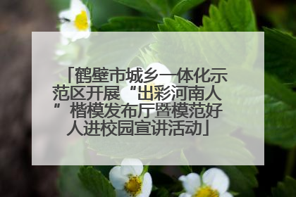 鹤壁市城乡一体化示范区开展“出彩河南人”楷模发布厅暨模范好人进校园宣讲活动