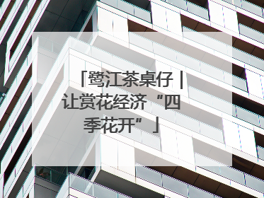 鹭江茶桌仔｜让赏花经济“四季花开”