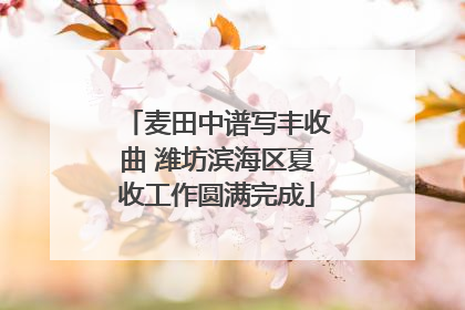 麦田中谱写丰收曲 潍坊滨海区夏收工作圆满完成