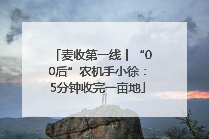 麦收第一线丨“00后”农机手小徐：5分钟收完一亩地