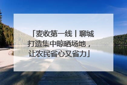麦收第一线丨聊城打造集中晾晒场地，让农民省心又省力