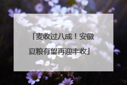 麦收过八成！安徽夏粮有望再迎丰收