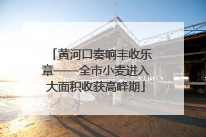 黄河口奏响丰收乐章——全市小麦进入大面积收获高峰期