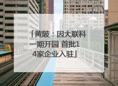 黄陂：因大联科一期开园 首批14家企业入驻