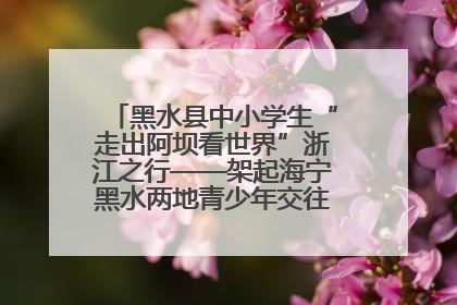 黑水县中小学生“走出阿坝看世界”浙江之行——架起海宁黑水两地青少年交往交流交融新桥梁