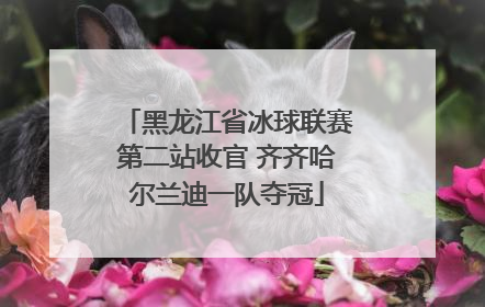 黑龙江省冰球联赛第二站收官 齐齐哈尔兰迪一队夺冠