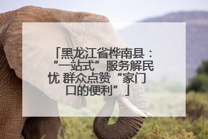 黑龙江省桦南县：“一站式”服务解民忧 群众点赞“家门口的便利”