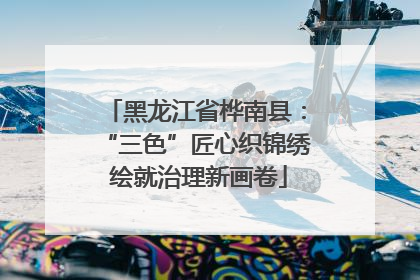 黑龙江省桦南县：“三色”匠心织锦绣 绘就治理新画卷