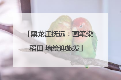 黑龙江抚远：画笔染稻田 墙绘迎旅发
