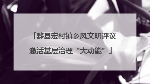 黟县宏村镇乡风文明评议激活基层治理“大动能”