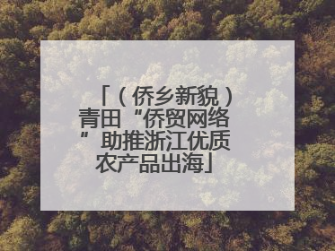 （侨乡新貌）青田“侨贸网络”助推浙江优质农产品出海
