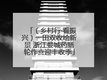 （乡村行·看振兴）一田双收绘新景 浙江婺城药膳轮作喜迎丰收季