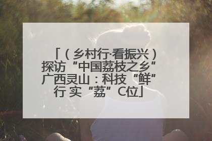 （乡村行·看振兴）探访“中国荔枝之乡”广西灵山：科技“鲜”行 实“荔”C位