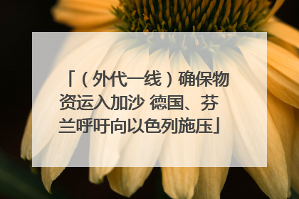 （外代一线）确保物资运入加沙 德国、芬兰呼吁向以色列施压