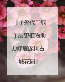 （外代二线）历史植物助力修复庞贝古城花园