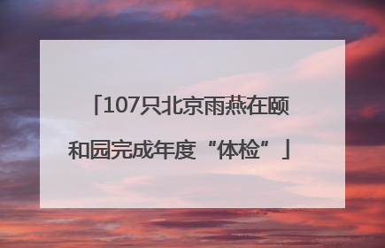 107只北京雨燕在颐和园完成年度“体检”