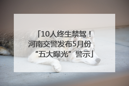 10人终生禁驾！河南交警发布5月份“五大曝光”警示