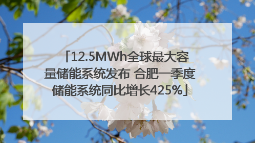 12.5MWh全球最大容量储能系统发布 合肥一季度储能系统同比增长425%