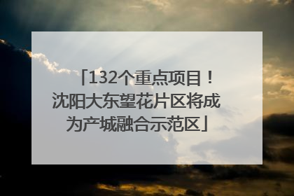 132个重点项目！沈阳大东望花片区将成为产城融合示范区