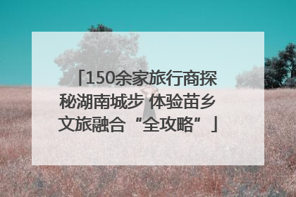 150余家旅行商探秘湖南城步 体验苗乡文旅融合“全攻略”