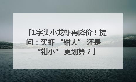 1字头小龙虾再降价！提问：买虾 “钳大” 还是 “钳小” 更划算？
