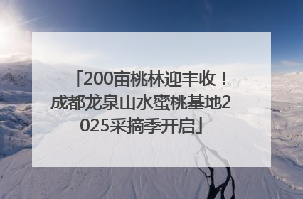 200亩桃林迎丰收！成都龙泉山水蜜桃基地2025采摘季开启