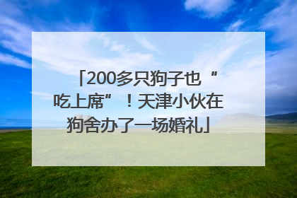 200多只狗子也“吃上席”！天津小伙在狗舍办了一场婚礼