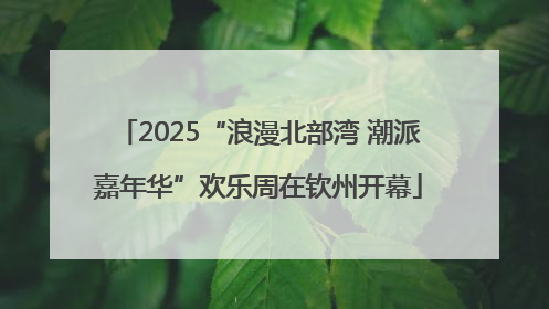 2025“浪漫北部湾 潮派嘉年华”欢乐周在钦州开幕