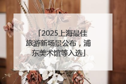 2025上海最佳旅游新场景公布，浦东美术馆等入选