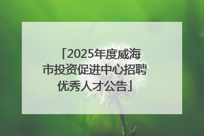 2025年度威海市投资促进中心招聘优秀人才公告