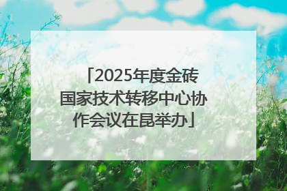 2025年度金砖国家技术转移中心协作会议在昆举办